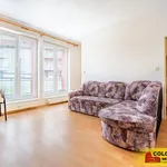 Rent 1 bedroom apartment in Brno