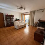 Rent 5 bedroom apartment of 130 m² in Massa