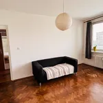 Rent 1 bedroom house in Ostrava