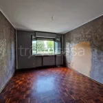 Rent 5 bedroom apartment of 100 m² in Torino