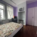 Rent 4 bedroom apartment in Karlovy Vary