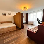 Rent 2 bedroom apartment of 36 m² in Chełm