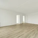 Rent 3 bedroom house of 95 m² in Esbjerg