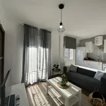 Rent 1 bedroom apartment in Madrid