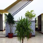 Rent 2 bedroom apartment of 60 m² in Seville']