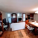 Rent 1 bedroom apartment of 45 m² in Pisa