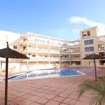 Alquilo 1 dormitorio apartamento de 50 m² en Orihuela