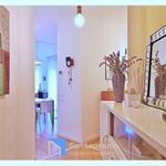 Rent 2 bedroom apartment of 55 m² in Treviso