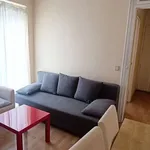 Rent 1 bedroom apartment of 55 m² in madrid