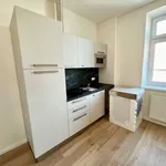 Rent 2 bedroom apartment of 34 m² in Pilsen