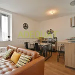 Rent 3 bedroom apartment of 57 m² in CessieuT