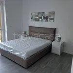 Rent 2 bedroom apartment of 50 m² in Lodi