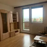 Rent 1 bedroom apartment in Brno