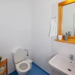 Rent 1 bedroom apartment of 25 m² in Prague