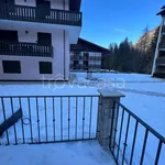 Rent 2 bedroom apartment of 51 m² in Campitello di Fassa