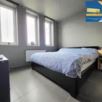  appartement avec 1 chambre(s) en location à Couillet