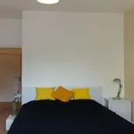 Rent 1 bedroom apartment in LE TOUQUET-PARIS-PLAGE