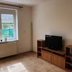 Rent 1 bedroom apartment in Plzeň