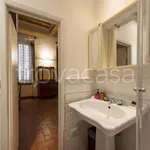 Rent 2 bedroom apartment of 60 m² in Firenze