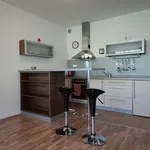 Pronajměte si 1 ložnic/e byt o rozloze 40 m² v Prague