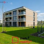 Rent 3 bedroom apartment of 78 m² in Trhový Štěpánov