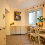 Rent 1 bedroom apartment of 44 m² in Poznan