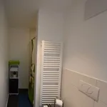 Miete 1 Schlafzimmer wohnung von 29 m² in Frankfurt