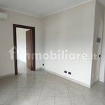 Rent 2 bedroom apartment of 45 m² in Palermo