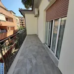 Rent 3 bedroom apartment of 85 m² in Grosseto