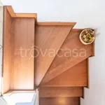 Rent 3 bedroom apartment of 80 m² in Pisa