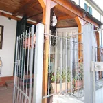 Rent 3 bedroom apartment of 60 m² in Livorno