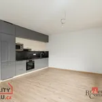 Rent 1 bedroom apartment in Plzeň