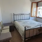 Rent 2 bedroom apartment of 40 m² in Follonica