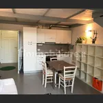 Affitto 1 camera appartamento di 40 m² in Siena