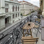 Rent 2 bedroom apartment of 70 m² in Prague