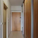 Rent 1 bedroom apartment of 43 m² in Brno