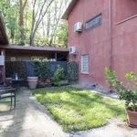 Rent 1 bedroom apartment of 45 m² in rome