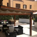 Rent 1 bedroom apartment in Rome