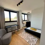 Rent 1 bedroom apartment in Leuven