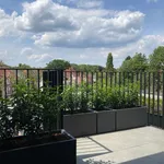 Rent 2 bedroom apartment in Brasschaat