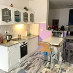 Rent 1 bedroom apartment of 44 m² in Branišovice