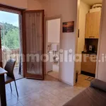 Rent 1 bedroom apartment of 34 m² in Perugia