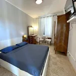 Rent 4 bedroom apartment of 115 m² in Roma