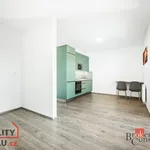 Rent 1 bedroom apartment of 40 m² in Vyškov