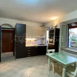 Rent 1 bedroom apartment of 23 m² in Roma