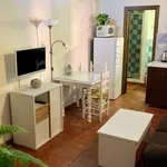 Rent 1 bedroom apartment of 36 m² in granada