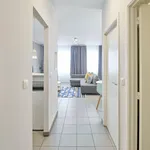 Rent 1 bedroom apartment in Brussels