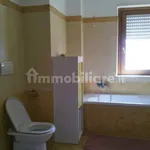 Rent 1 bedroom apartment of 40 m² in Frosinone