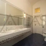 Rent 3 bedroom apartment of 132 m² in Prague