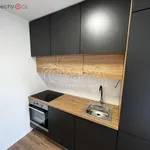 Pronajměte si 1 ložnic/e byt o rozloze 38 m² v Louny